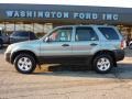 2006 Titanium Green Metallic Ford Escape XLT V6 4WD  photo #1