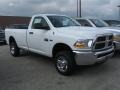 2011 Bright White Dodge Ram 2500 HD ST Regular Cab 4x4  photo #3