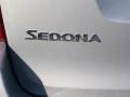2011 Clear Silver Kia Sedona EX  photo #6