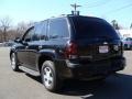 2006 Black Chevrolet TrailBlazer LS 4x4  photo #7