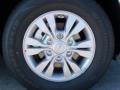 2011 Clear Silver Kia Sedona LX  photo #33