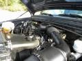 5.4 Liter SOHC 16-Valve Triton V8 2004 Ford F250 Super Duty Lariat Crew Cab 4x4 Engine