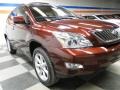 2008 Brandywine Mica Lexus RX 350  photo #3