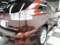 2008 Brandywine Mica Lexus RX 350  photo #11