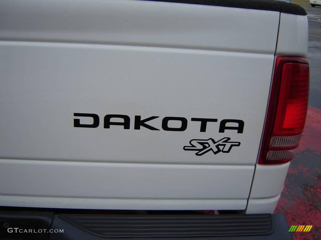 2004 Dakota SXT Quad Cab - Bright White / Dark Slate Gray photo #10