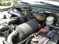 6.0 Liter Turbo Diesel OHV 32 Valve Power Stroke V8 2006 Ford F350 Super Duty XL Regular Cab Engine