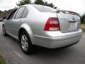 Reflex Silver Metallic - Jetta GLS TDI Sedan Photo No. 20