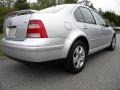 Reflex Silver Metallic - Jetta GLS TDI Sedan Photo No. 21