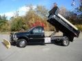 2004 Black Ford F550 Super Duty XL Regular Cab 4x4 Chassis Plow Truck  photo #12