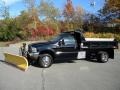 Black - F550 Super Duty XL Regular Cab 4x4 Chassis Plow Truck Photo No. 18