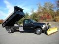 2004 Black Ford F550 Super Duty XL Regular Cab 4x4 Chassis Plow Truck  photo #19