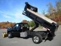 2004 Black Ford F550 Super Duty XL Regular Cab 4x4 Chassis Plow Truck  photo #28