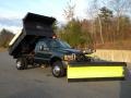 Woodland Green Metallic - F550 Super Duty XL Regular Cab 4x4 Dump Truck Photo No. 2