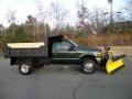 Woodland Green Metallic - F550 Super Duty XL Regular Cab 4x4 Dump Truck Photo No. 3