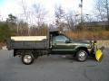 Woodland Green Metallic - F550 Super Duty XL Regular Cab 4x4 Dump Truck Photo No. 5