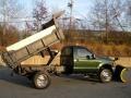 Woodland Green Metallic - F550 Super Duty XL Regular Cab 4x4 Dump Truck Photo No. 6
