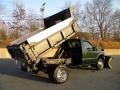 Woodland Green Metallic - F550 Super Duty XL Regular Cab 4x4 Dump Truck Photo No. 8