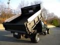 Woodland Green Metallic - F550 Super Duty XL Regular Cab 4x4 Dump Truck Photo No. 10