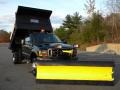Woodland Green Metallic - F550 Super Duty XL Regular Cab 4x4 Dump Truck Photo No. 12