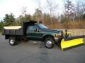 Woodland Green Metallic - F550 Super Duty XL Regular Cab 4x4 Dump Truck Photo No. 13