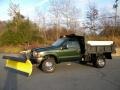 Woodland Green Metallic - F550 Super Duty XL Regular Cab 4x4 Dump Truck Photo No. 16
