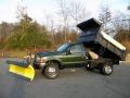 Woodland Green Metallic - F550 Super Duty XL Regular Cab 4x4 Dump Truck Photo No. 17