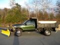 Woodland Green Metallic - F550 Super Duty XL Regular Cab 4x4 Dump Truck Photo No. 18