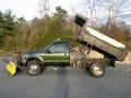 Woodland Green Metallic - F550 Super Duty XL Regular Cab 4x4 Dump Truck Photo No. 19