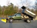 Woodland Green Metallic - F550 Super Duty XL Regular Cab 4x4 Dump Truck Photo No. 23