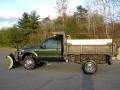 Woodland Green Metallic - F550 Super Duty XL Regular Cab 4x4 Dump Truck Photo No. 26