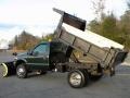 Woodland Green Metallic - F550 Super Duty XL Regular Cab 4x4 Dump Truck Photo No. 27