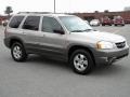 Platinum Metallic - Tribute LX V6 Photo No. 1