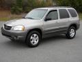 Platinum Metallic - Tribute LX V6 Photo No. 2
