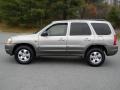 Platinum Metallic - Tribute LX V6 Photo No. 4