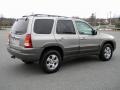 Platinum Metallic - Tribute LX V6 Photo No. 5