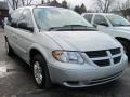 Bright Silver Metallic - Grand Caravan SE Photo No. 18