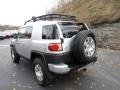 Titanium Metallic - FJ Cruiser 4WD Photo No. 2