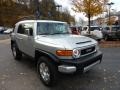 Titanium Metallic - FJ Cruiser 4WD Photo No. 6