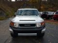 Titanium Metallic - FJ Cruiser 4WD Photo No. 10