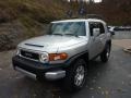 Titanium Metallic - FJ Cruiser 4WD Photo No. 11
