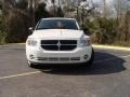 Stone White - Caliber SXT Photo No. 8