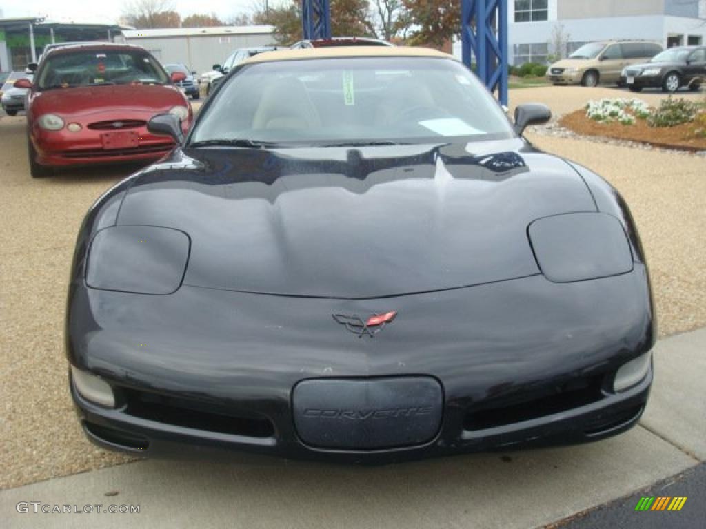 1999 Corvette Convertible - Black / Light Oak photo #9
