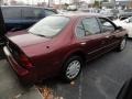 Ruby Red Pearl - Maxima GXE Photo No. 5