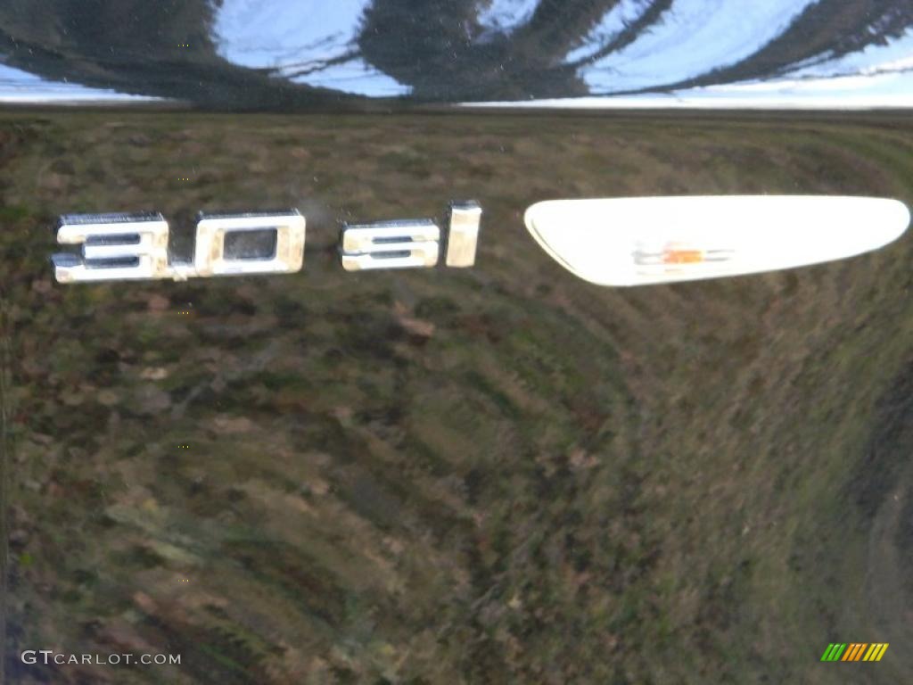 2007 BMW X3 3.0si Marks and Logos Photo #40679850