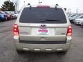 2011 Gold Leaf Metallic Ford Escape XLT V6 4WD  photo #4