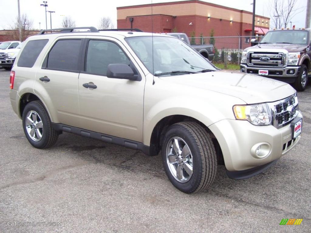 Gold Leaf Metallic 2011 Ford Escape XLT V6 4WD Exterior Photo #40688826