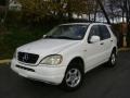 Polar White - ML 320 4Matic Photo No. 2