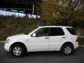 Polar White - ML 320 4Matic Photo No. 3