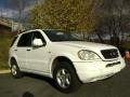 Polar White - ML 320 4Matic Photo No. 5