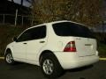 Polar White - ML 320 4Matic Photo No. 7